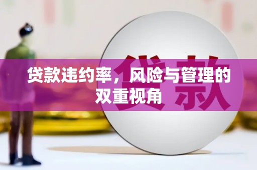 济宁贷款违约率，风险与管理的双重视角