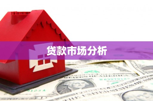 镇巴贷款市场分析