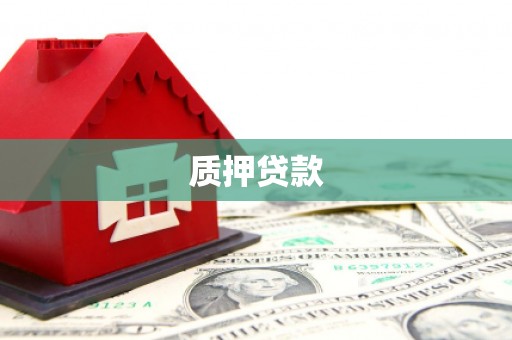 文昌质押贷款