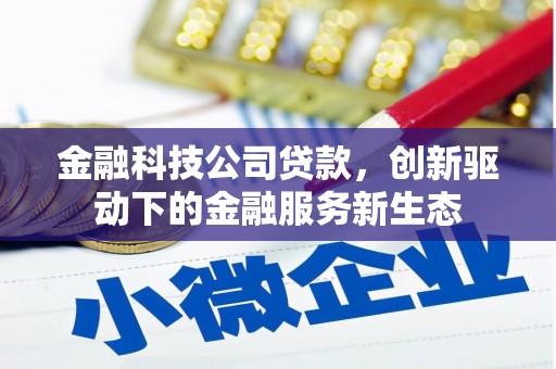 长岭金融科技公司贷款，创新驱动下的金融服务新生态