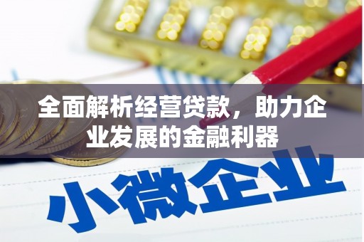 东至全面解析经营贷款，助力企业发展的金融利器
