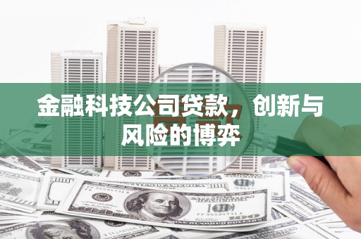 武义金融科技公司贷款，创新与风险的博弈