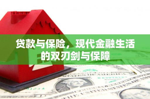 岭东贷款与保险，现代金融生活的双刃剑与保障