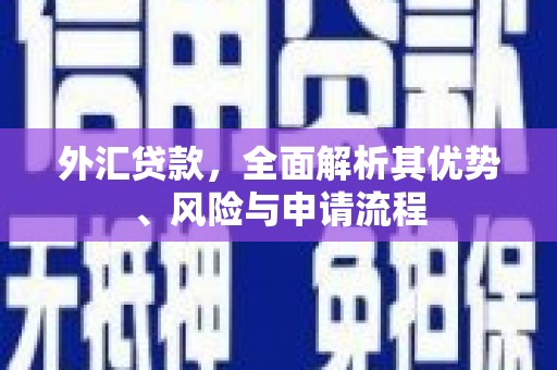 吴兴外汇贷款，全面解析其优势、风险与申请流程