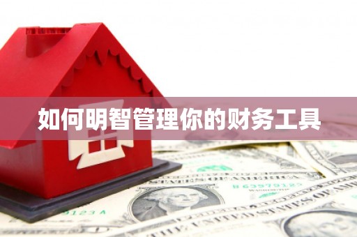 集集如何明智管理你的财务工具