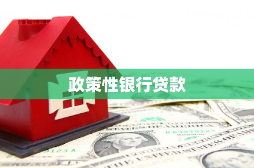 万峦政策性银行贷款