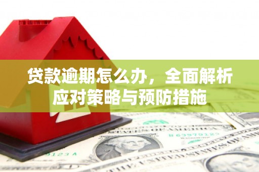 光明新区贷款逾期怎么办，全面解析应对策略与预防措施