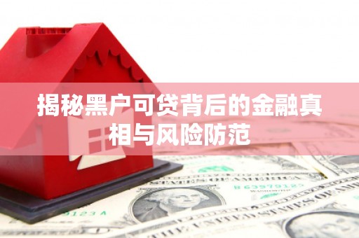 南屯揭秘黑户可贷背后的金融真相与风险防范