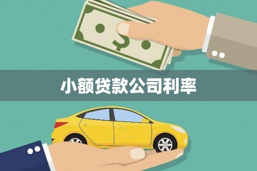 王益小额贷款公司利率
