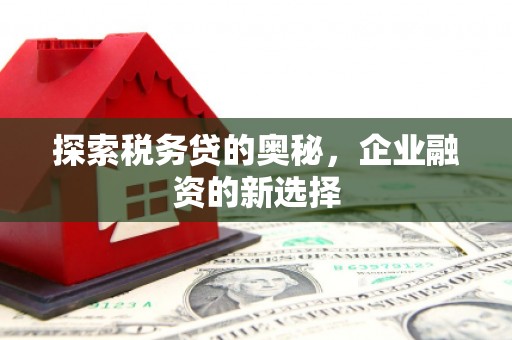 芦竹探索税务贷的奥秘，企业融资的新选择