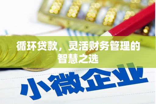 海兴循环贷款，灵活财务管理的智慧之选