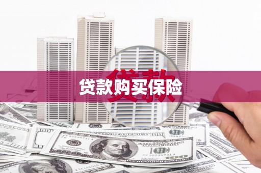三沙贷款购买保险