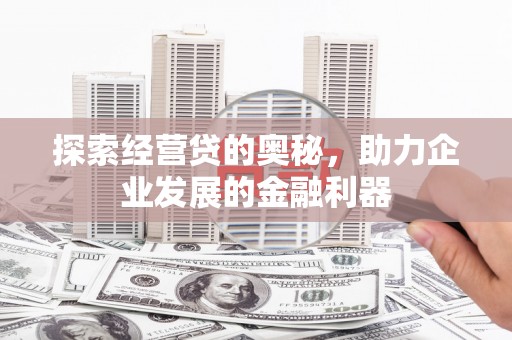 德保探索经营贷的奥秘，助力企业发展的金融利器