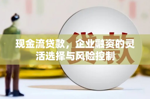 巩留现金流贷款，企业融资的灵活选择与风险控制