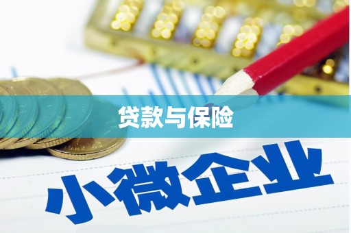 兴宾贷款与保险