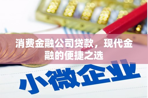 中区消费金融公司贷款，现代金融的便捷之选