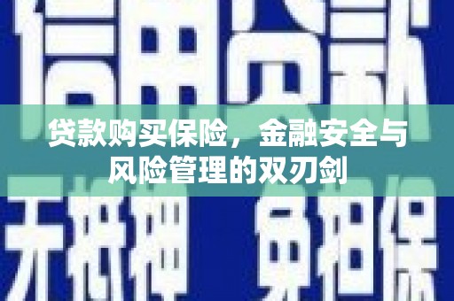 学甲贷款购买保险，金融安全与风险管理的双刃剑