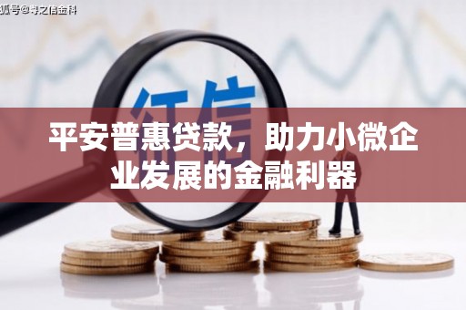 定安平安普惠贷款，助力小微企业发展的金融利器