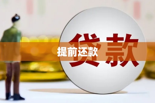 双清提前还款