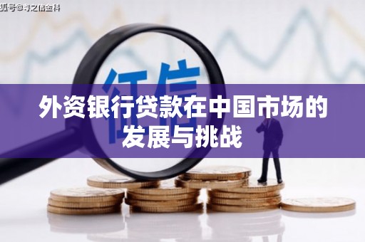 庄浪外资银行贷款在中国市场的发展与挑战