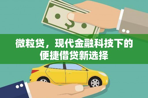 湖北微粒贷，现代金融科技下的便捷借贷新选择