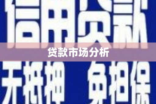 新建贷款市场分析