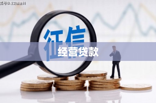 安定经营贷款