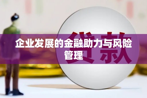 玛曲企业发展的金融助力与风险管理