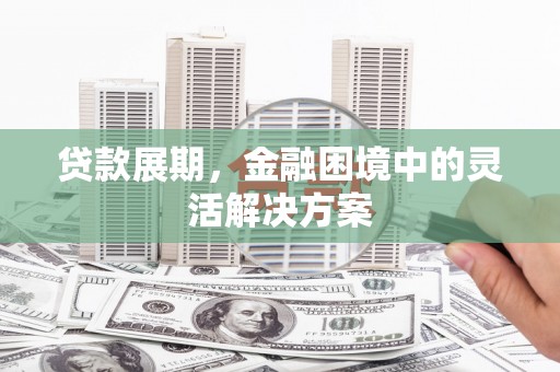 盐源贷款展期，金融困境中的灵活解决方案