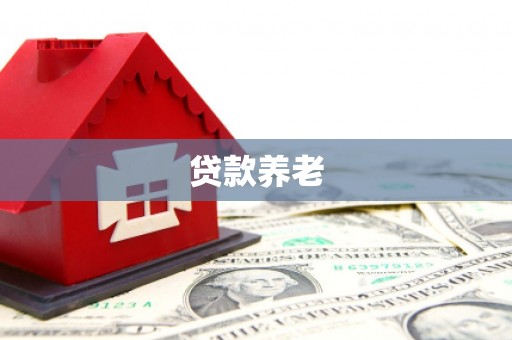 宁武贷款养老