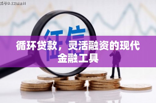 凤凰循环贷款，灵活融资的现代金融工具