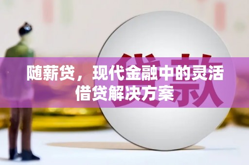 安南随薪贷，现代金融中的灵活借贷解决方案