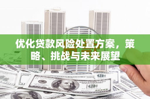 山上优化贷款风险处置方案，策略、挑战与未来展望