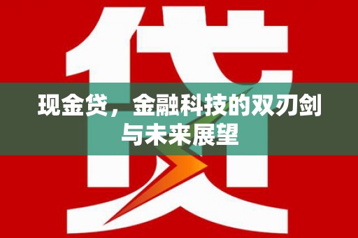 凤城现金贷，金融科技的双刃剑与未来展望