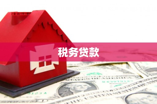 威海税务贷款