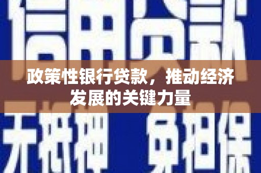 张北政策性银行贷款，推动经济发展的关键力量