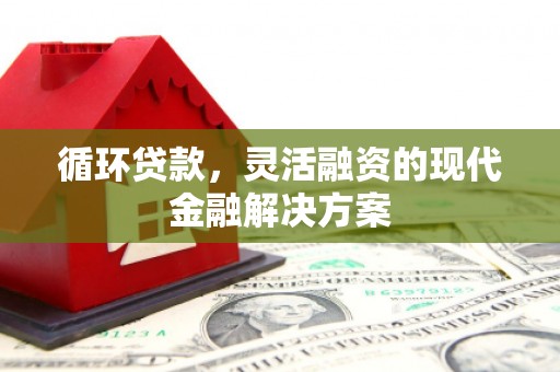 洋山循环贷款，灵活融资的现代金融解决方案