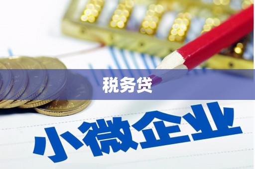 琼中税务贷