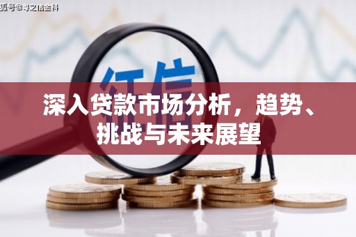 朔城深入贷款市场分析，趋势、挑战与未来展望