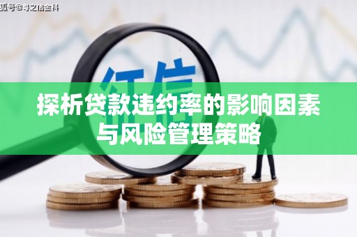 北关探析贷款违约率的影响因素与风险管理策略