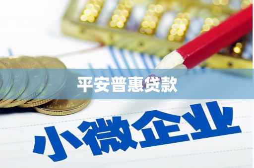 芒市平安普惠贷款