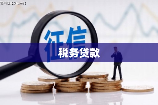 秀林税务贷款