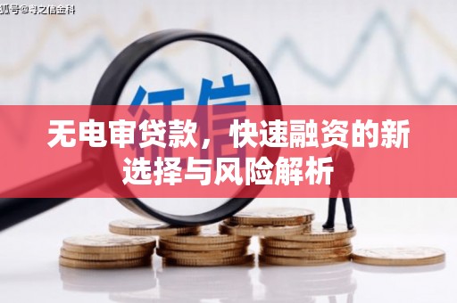 沙坡头无电审贷款，快速融资的新选择与风险解析