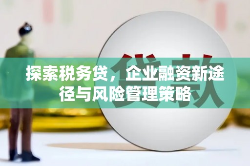黄梅探索税务贷，企业融资新途径与风险管理策略