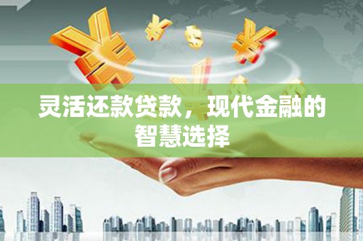 林西灵活还款贷款，现代金融的智慧选择