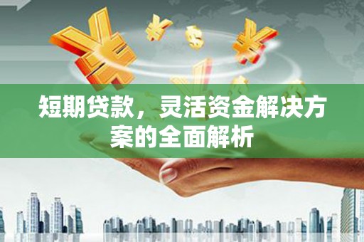 富民短期贷款，灵活资金解决方案的全面解析