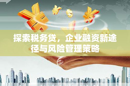 普格探索税务贷，企业融资新途径与风险管理策略