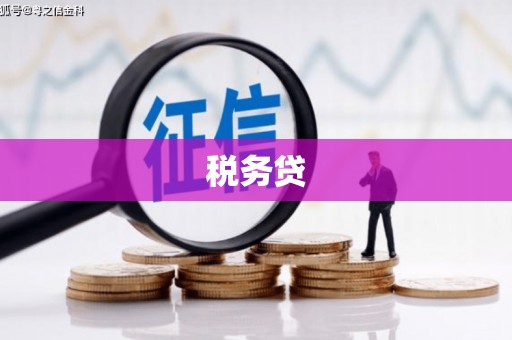南阳税务贷