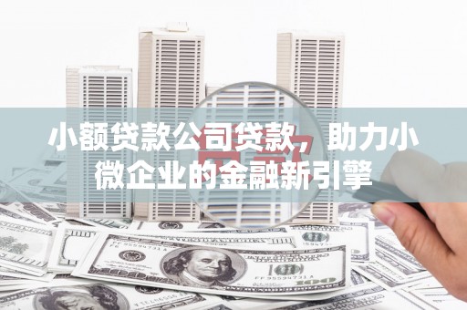 宣州小额贷款公司贷款，助力小微企业的金融新引擎
