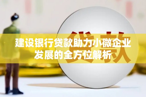 乐东建设银行贷款助力小微企业发展的全方位解析